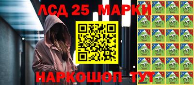 гидра Ставрополь
