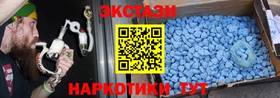 гидра Ставрополь