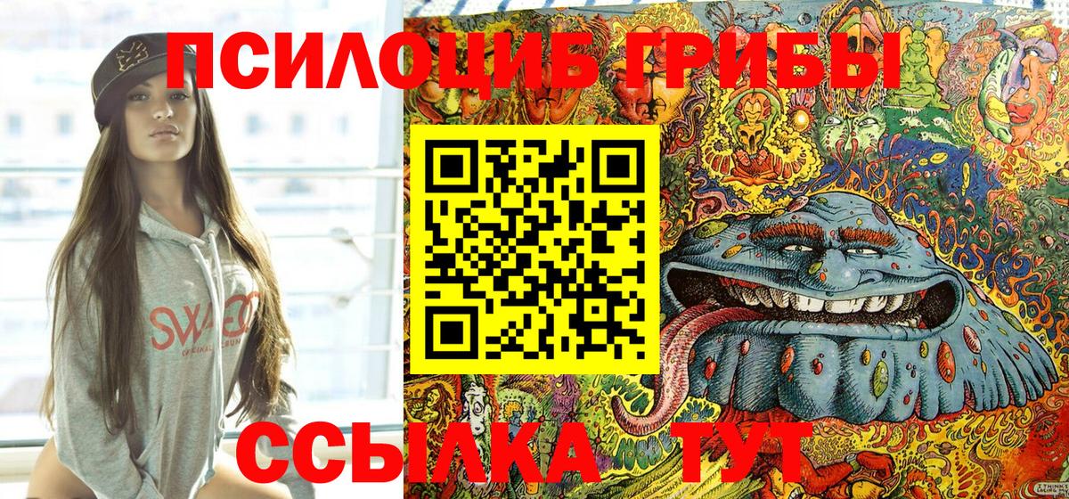 Галлюциногенные грибы Psilocybine cubensis Муравленко